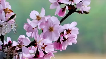 Encanador e puta'" '" shopping centerna avenida paulista
