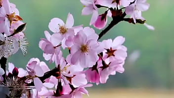 Encanador e puta'" '" shopping centerna avenida paulista