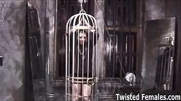 Put on this collar like a good little doggy