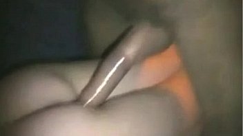 3477276 Big White Bull thumbnail