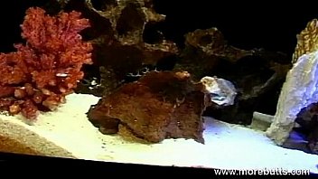 Just classic flirting scene young dude should watch