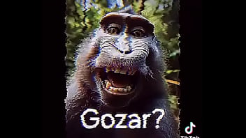 Gozar shitpost