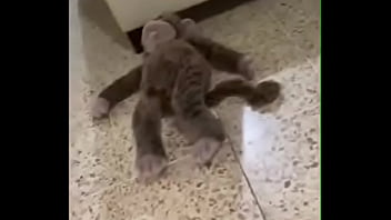 Putita latina deseosa de verga enseñando los calzones