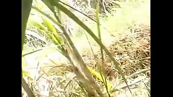 South uncle aunty sex