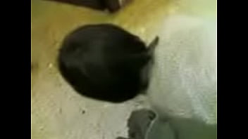 My ex gf and i trying to record