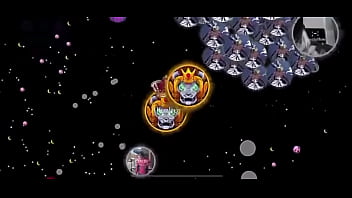 فيديو التحقق