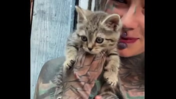 This little kitty loves my dreadlocks do youts play with your hair too #kittylove #dreadlockvibes #furryfrie