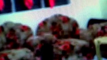 Sunshine contemplo matured but still hot and sexy pinay