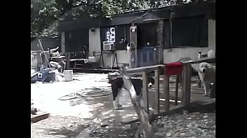 Mcgregor texas milf sherri riley getting her sloppy pussy filled with cum