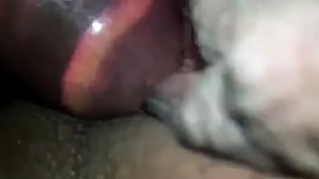 Ellechi update #7 1da41419 44a4 4ef8 bbbb d650fcfeb46a jun 26 2025