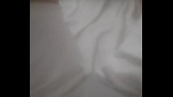 Principiae2024nav8dad