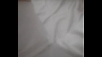 Principiae2024nav8dad