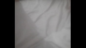 Principiae2024nav8dad