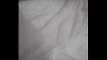 Principiae2024nav8dad