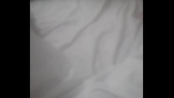 Principiae2024nav8dad