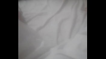 Principiae2024nav8dad