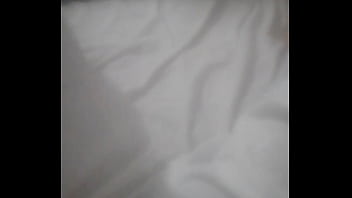 Principiae2024nav8dad