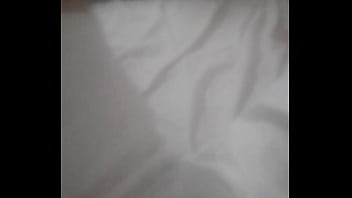 Principiae2024nav8dad