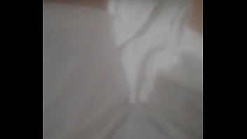 Principiae2024nav8dad