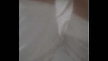 Principiae2024nav8dad