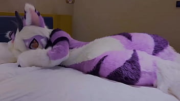 晚上了，快点到我身边来休息吧！