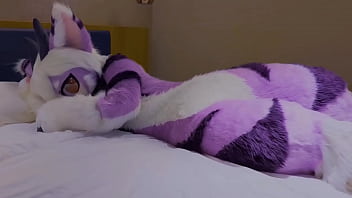 晚上了，快点到我身边来休息吧！