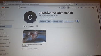 Vídeo de verificação