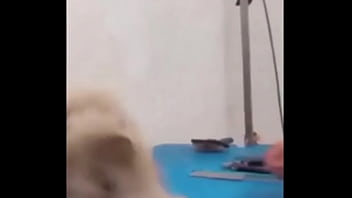 Eeeeeeeeeiita quengas