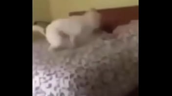 Eeeeeeeeeiita quengas