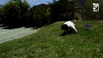 Mexican exterminator fucks milf with huge tits eva karera