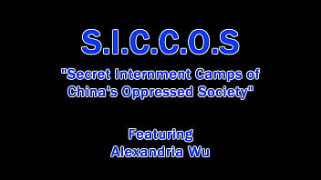 Dr tampa siccos part 3 the atrocities continue alexandria wu