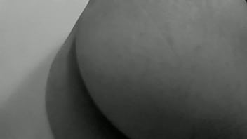 Muestro mi cola hambrienta