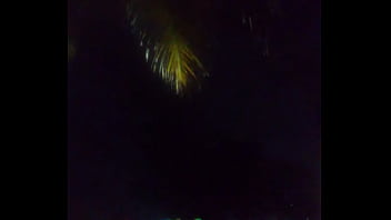 Perfil americano que amo odeio negras