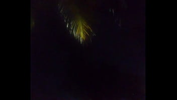 Perfil americano que amo odeio negras