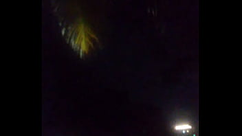 Perfil americano que amo odeio negras