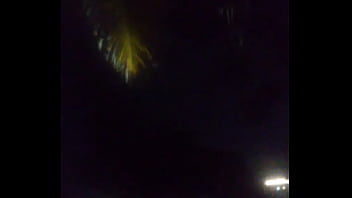 Perfil americano que amo odeio negras