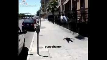 Fudendo as leis da física