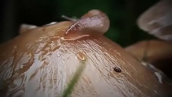 Your body during sex hd