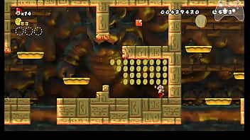 Nsmb wii any% speedrun