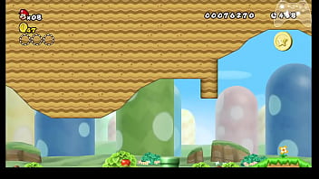 Nsmb wii any% speedrun