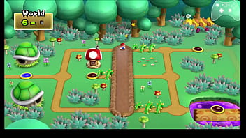 Nsmb wii any% speedrun