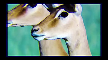 Kokoro s3xus mia james brad newman