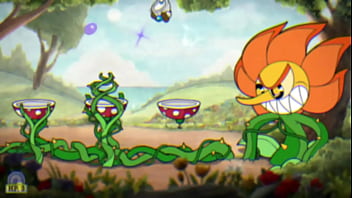 All boses cup medium