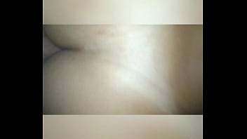 Cavala dando pro cavalo