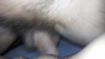 Fudendo minha gostosa