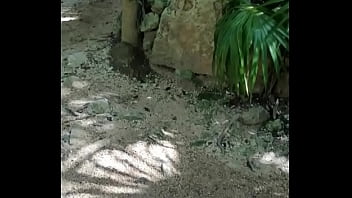 Se Da Cuenta thumbnail