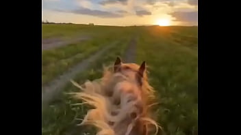 El efecto que causo cada que hago un blowjob #cancun #latina #latinamas latino #only #onlycancu