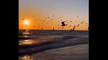 El efecto que causo cada que hago un blowjob #cancun #latina #latinamas latino #only #onlycancu