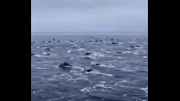 El efecto que causo cada que hago un blowjob #cancun #latina #latinamas latino #only #onlycancu