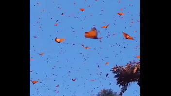 El efecto que causo cada que hago un blowjob #cancun #latina #latinamas latino #only #onlycancu